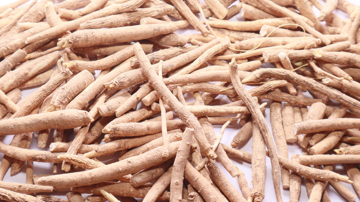Raíz de Ashwagandha (Withania somnifera) — extracto KSM-66 para rendimiento físico, reducción de cortisol y testosterona