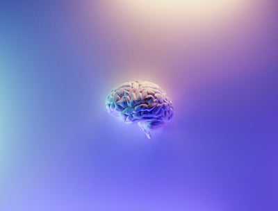 Creatina y Cerebro: El Meta-Análisis 2024 que Cambia Todo lo que Sabías