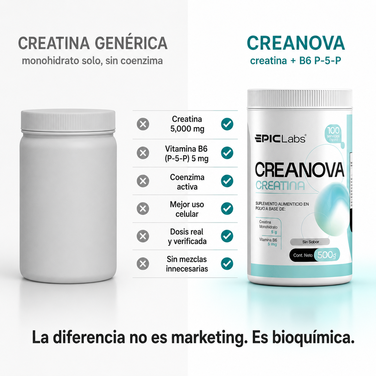 CREANOVA® Creatina monohidrato + B6 · Fuerza y volumen