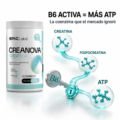 CREANOVA® Creatina monohidrato + B6 · Fuerza y volumen