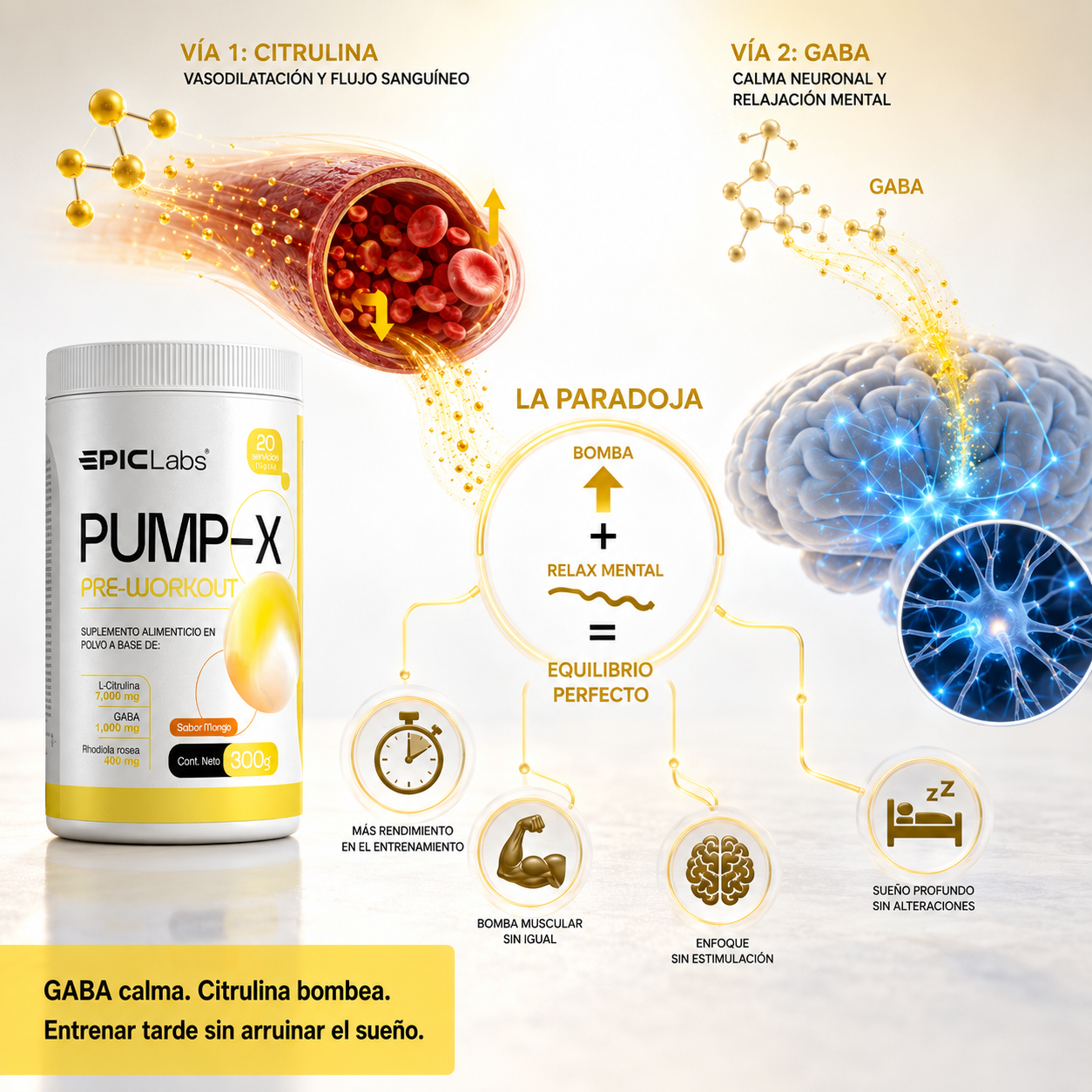 PUMPX® Pre-entreno sin estimulantes · Bombeo y enfoque